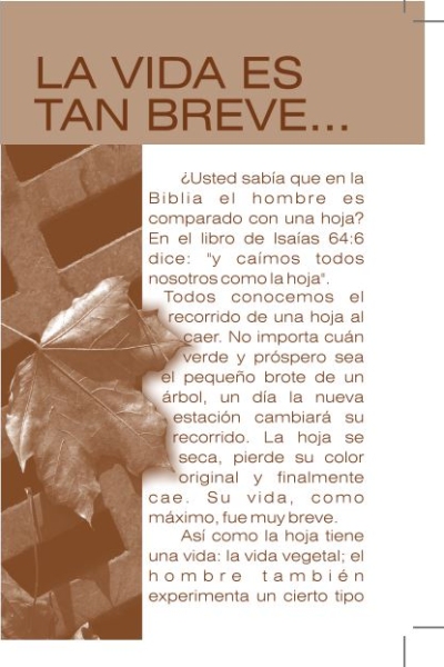 La Vida Es Tan Breve (Volante)