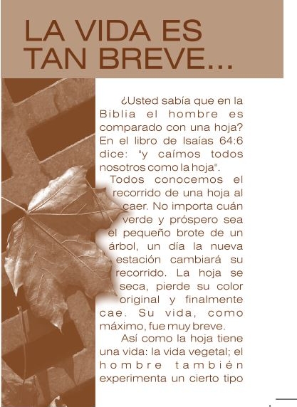La Vida Es Tan Breve (Volante)
