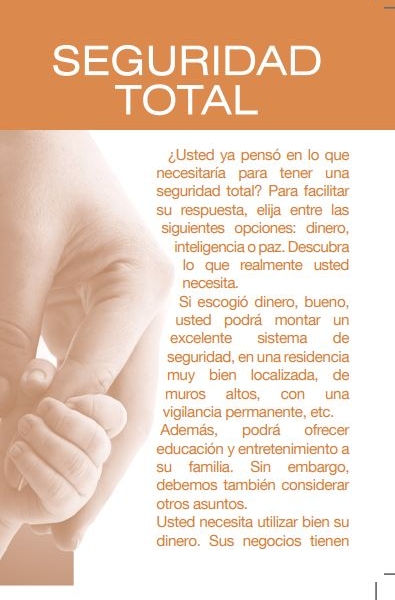 Seguridad Total (Volante)