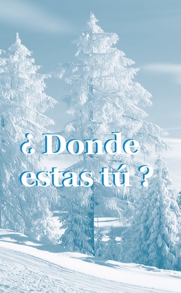 ¿Dónde estás tú? - Volante