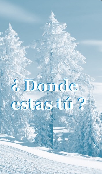 ¿Dónde estás tú? - Volante
